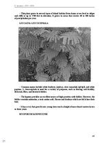E-grāmata 'Тайный остров', 154.
