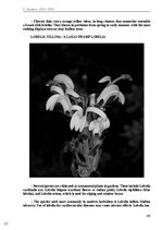 E-grāmata 'Тайный остров', 164.