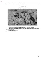 E-grāmata 'Тайный остров', 385.