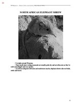 E-grāmata 'Тайный остров', 392.