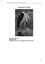 E-grāmata 'Тайный остров', 402.