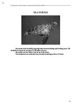 E-grāmata 'Тайный остров', 431.