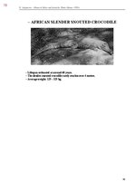 E-grāmata 'Тайный остров', 436.