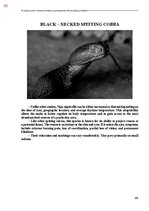 E-grāmata 'Тайный остров', 448.