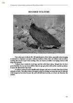 E-grāmata 'Тайный остров', 461.