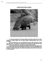 E-grāmata 'Тайный остров', 481.