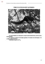 E-grāmata 'Тайный остров', 493.