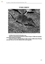 E-grāmata 'Тайный остров', 509.