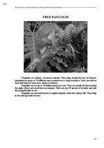 E-grāmata 'Тайный остров', 511.