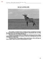 E-grāmata 'Тайный остров', 522.