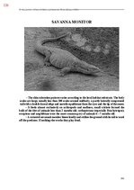 E-grāmata 'Тайный остров', 584.