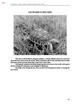 E-grāmata 'Тайный остров', 587.