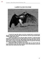 E-grāmata 'Тайный остров', 606.