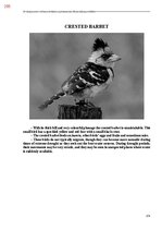 E-grāmata 'Тайный остров', 613.