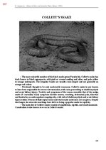 E-grāmata 'Тайный остров', 666.