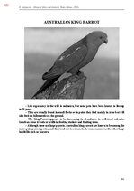 E-grāmata 'Тайный остров', 682.