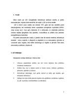 Referāts 'ĢIS un pilsētu komunikācijas', 3.