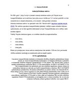 Prakses atskaite 'Prakses atskaite. Degvielas uzpildes stacija', 6.