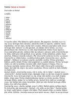 Paraugs 'Piecdesmitā dzimšanas diena', 6.