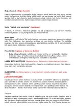 Paraugs 'Piecdesmitā dzimšanas diena', 7.