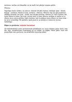 Paraugs 'Piecdesmitā dzimšanas diena', 8.