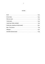 Referāts 'Opcijas', 2.