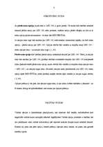 Referāts 'Opcijas', 4.