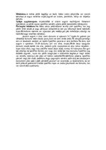 Konspekts 'Kalludzimtas telpaugi un sīpolpuķes', 13.