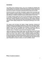 Referāts 'Corporate Valuation', 2.