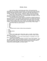 Referāts 'Ķīniešu virtuve', 3.