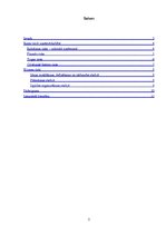 Referāts 'Uzņēmējdarbības riski', 2.