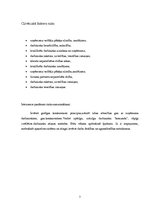 Referāts 'Uzņēmējdarbības riski', 7.