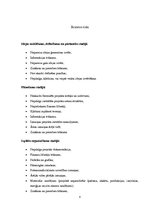 Referāts 'Uzņēmējdarbības riski', 8.