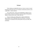 Referāts 'Uzņēmējdarbības riski', 10.