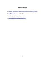 Referāts 'Uzņēmējdarbības riski', 11.