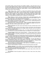 Konspekts 'Ādas izmantošana senatnē', 2.