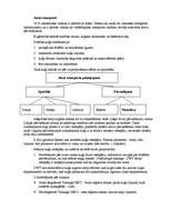 Referāts 'Ūdens transports', 3.