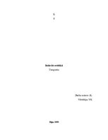 Referāts 'Donato Bramantes darbs "Tempietto"', 1.