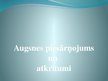 Prezentācija 'Augsnes piesārņojums un atkritumi', 1.
