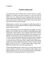 Referāts 'Valodas stili', 9.