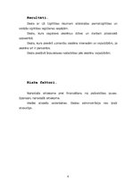 Referāts 'Kādā skolā es vēlētos strādāt', 6.