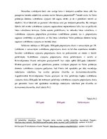 Diplomdarbs 'Kriminālsoda - piespiedu darbs - tiesiskais regulējums, piemērošanas un izpildes', 26.