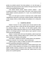 Prakses atskaite 'Darba tiesības - prakses atskaite', 5.