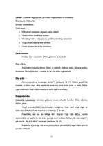 Referāts 'Integrētais eksāmens "Meža rūķa Ķērpīša ceļojums uz lauku sētu"', 15.