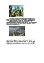 Eseja 'Latvijas dabas resursi', 2.