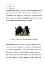 Referāts 'Galgauskas pagasta uzņēmumu raksturojums', 8.