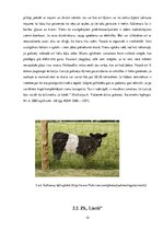 Referāts 'Galgauskas pagasta uzņēmumu raksturojums', 12.