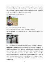 Referāts 'Galgauskas pagasta uzņēmumu raksturojums', 15.