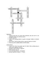 Konspekts 'Homeostāze', 5.