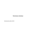 Biznesa plāns 'Biznesa plāns par radio "Shade" izveidi', 12.